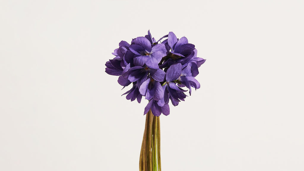 Bougie parfumée Violette Musquée - Pot Rose